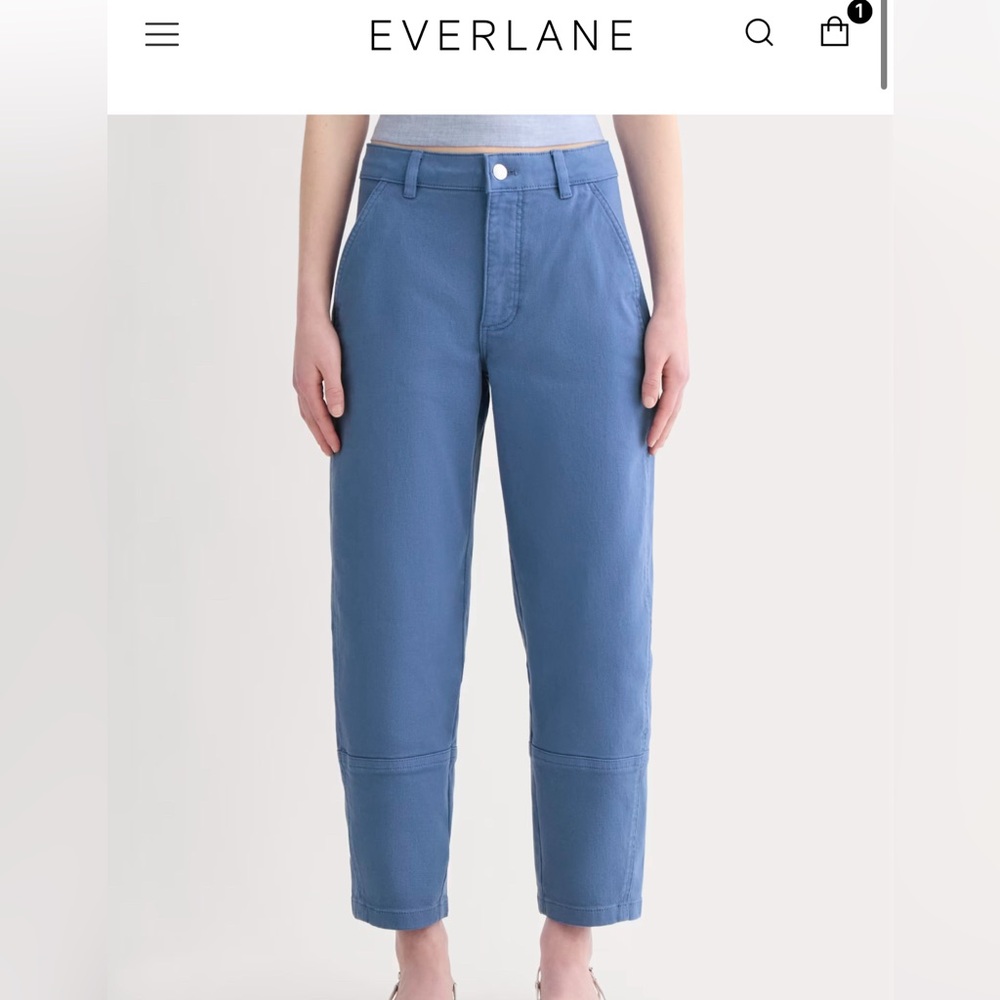 Everlane Utility Barrel Pants in blue